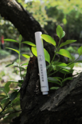 今韵当归茉莉润唇膏,一款真正健康又好用的润唇膏